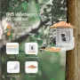 ZANLURE Smart Bird Feeder with Camera Solar Panel Wireless AI Bird Identificatio Auto Record Christmas Gift
