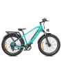 [USA DIRECT] ENGWE E26 16Ah 48V 750W Electric Bike 26*4.0 Inch Fat Tire 120-140km Mileage Range E Bike For Mountain Snowfield Road for All-Terrain Roads Mountain E-Bike