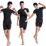 Camiseta deportiva de manga corta TENGOO para hombre, transpirable, de secado rápido, elástica y cómoda, para entrenamiento en gimnasio al aire libre y fitness.