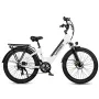 [USA Direct] Xe đạp điện thông minh SAMEBIKE RS-A01 14Ah 48V 500W 26 inch, quãng đường đi được 40-80km, tải trọng tối đa 100-150kg, có phích cắm EU, phanh đĩa đôi