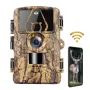 ZANLURE 60MP Wildlife Trail Hunting Camera 4G LTE WiFi Download Support 8K FHD Video Resolution Waterproof Motion Detection 15m PIR Night Vision GPS Camera for Outdoors Photography