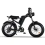 [USA DIRECT] Riding's times Z8 48V 15A 500W 20*4.0 Inch Fat Tire Electric Bike 90-120km Max Range Dual Mechanical Disc Brake