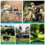HD Infrared Camera Powerful Night Vision Camera 16MP Night Vision 1080P Video Camera Waterproof Outdoor Sports Camera Suitable For Travel Adventure