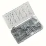 200pcs Spring Tool Kit with Compression Extension Springs Portable Steel Springs Assortment with Storage Case for DIY Craft Repairs