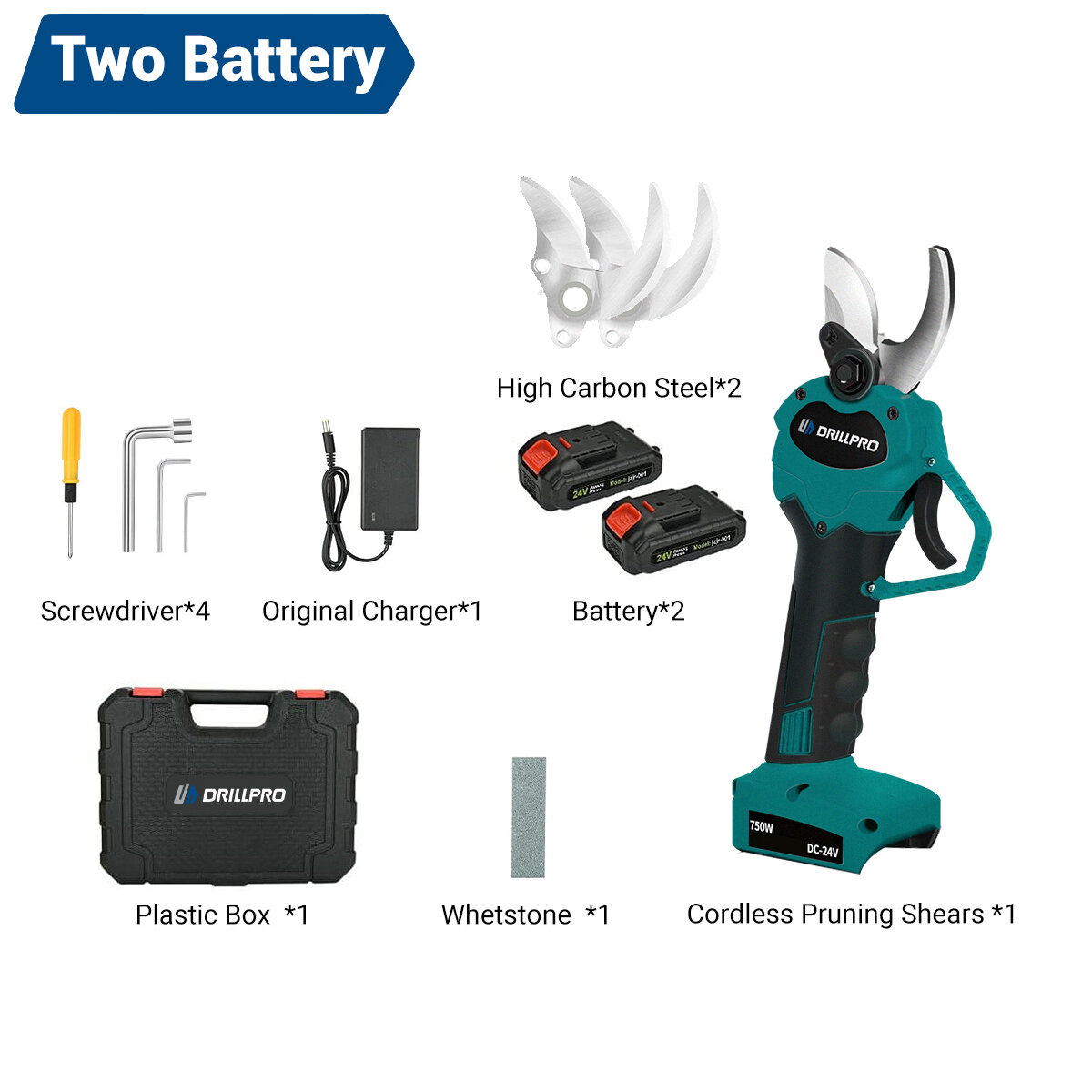 with 2 Batteries