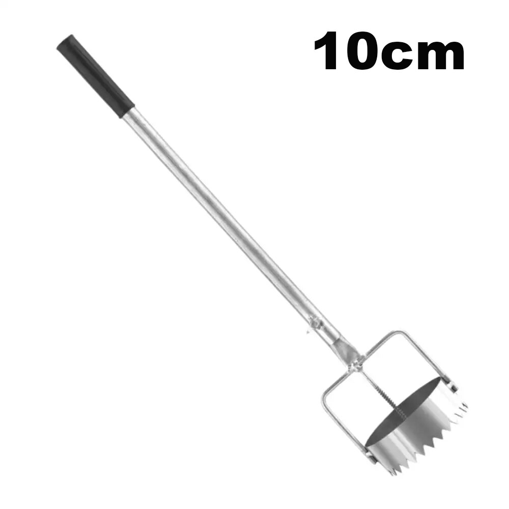 10cm