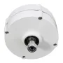 100W 12V 24V Three-phase Current PMSG Generator White For Wind Turbine