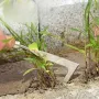 Weeding Machine with Crack Weeding Feature Ergonomic Wood Handle Versatile Garden Tool for Uprooting Weeds Ideal Gardening Tool for Lawn and Yard Care
