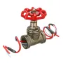 Interrupteur d'éclairage vintage Steampunk 1/2 pouce avec fil traversant en fer rouge