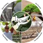 Bahçe Makası Bitki Ucu Budama Makası Çiçek Kesme Makası Bitki Budama Bonsai ve Meyve Toplama Bypass Bıçaklı Budayıcı