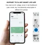 RMDZT-1PNL 63A Smart WiFi Circuit Breaker ON/OFF Timing Function Short Circuit Protection Voice Control Real-Time Electricity Consumption Tracking Compatible Tuya Smart Life App