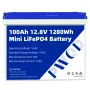 PWOD 12.8V 100Ah 1280Wh Mini LiFePO4 Battery Pack Grade A Build-in BMS Lithium Iron Phosphate For RV EV Solar Camping
