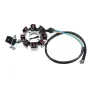 Electric Wiring Harness Wire Loom CDI Motor Stator Full Set For ATV QUAD 150/200/250CC
