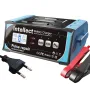 ANJING 200W 12V 11A 24V 7A Intelligent Pulse Repair Battery Charger Lead-Acid Battery High Power Charger for Lead Acid/Water/Dry/Lead-Acid Battery/Start-Stop Battery 619NB20