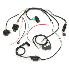 Kablo Demeti Demeti Solenoid Bobin Doğrultucu CDI 50cc 70cc 90cc 110cc 125cc ATV Quad Kir Bisikleti İçin