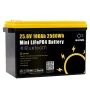 Gokwh 24V 100Ah LCD Energy Storage Box 2560Wh Solar Lithium Ion LiFePO4(LFP) Battery for RV Boat Home Energy Storage