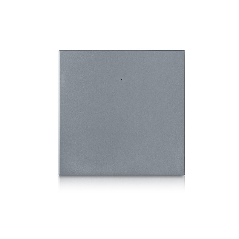 1 Gang Grey