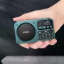 SANSUI F22 Multimedia Radio Wireless bluetooth Speaker Digital Display HiFi Card Music Loudspeaker FM Radios Support U Disk TF Card Playback
