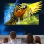 Universal TV Mount Adjustable Wall-mounted Indoor Monitor Stand 14-42inch/26-63inch Thickened Steel Television Mount Bracket