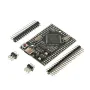 Mega2560 Mega 2560 Pro MINI 5V (Embed) CH340G ATmega2560-16AU Micro/Type-C with Male Pinheaders Compatible for Mega