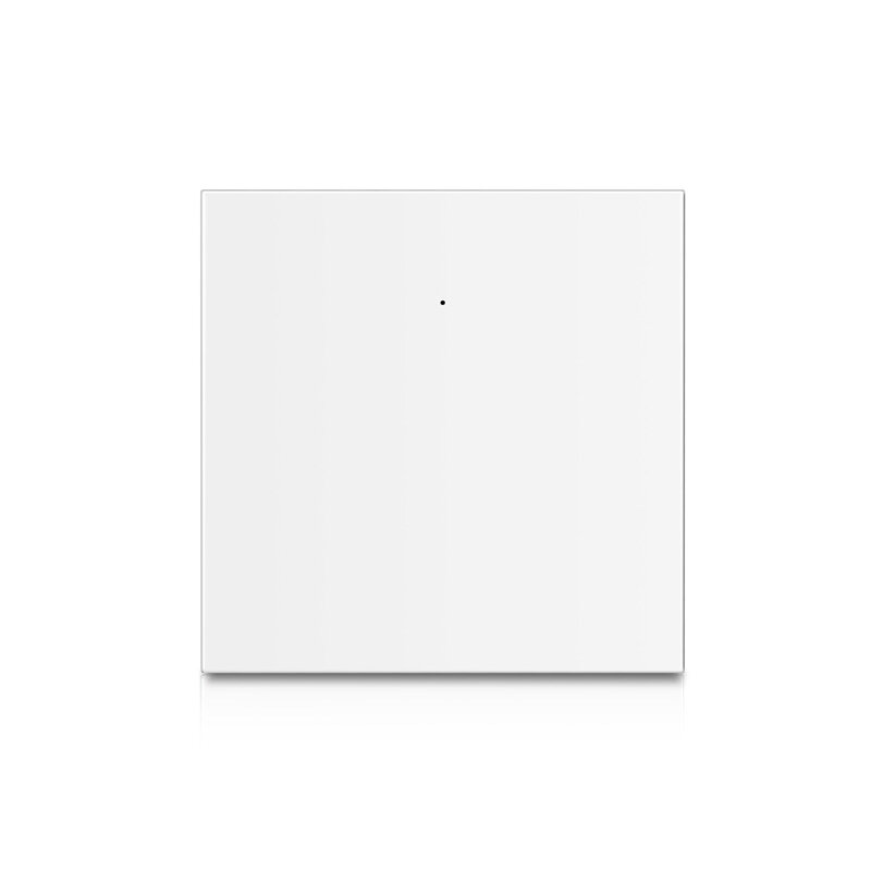 1 Gang White