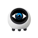 Xiaozhi AI DeepSeek Smart Voice Chat Robot ESP32-S3 Artificial Intelligence ESP32N16R8 1.28 inch LCD Screen Development Board