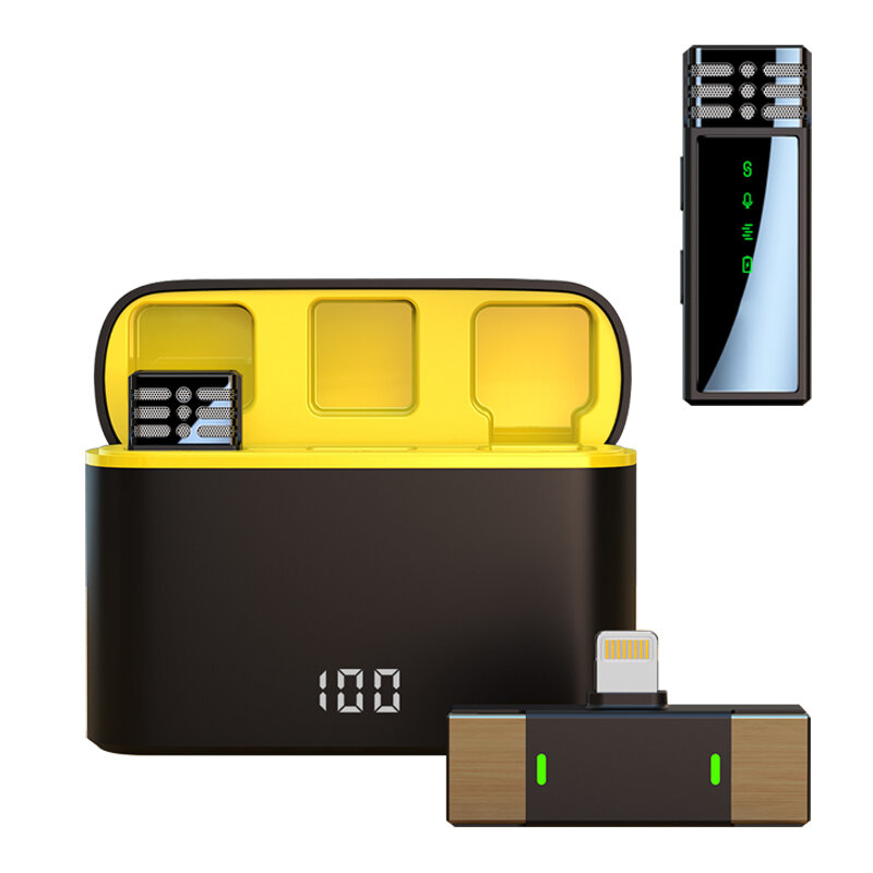 iP Interface