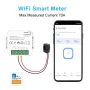 Ewelink Smart WiFi Energy Meter Bidirection 1Way Interruptor Switch 0.2-70A Real-Time Power Monitoring with App Monitor Solar Produced and Consumed Power