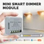 MoesHouse Tuya Smart Zigbe Dimmer Module Light Switch 1/2 Gang Timing Function Voice APP Remote Control کار لەگەڵ Alexa Google Assistant