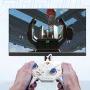 BIGBIGWON Blitz 2 TMR Star Flash Wireless bluetooth Gamepads Somatosensory Controllers 2000Hz RGB Light for NS PC Steam Game