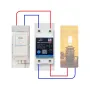 eWelink 63A Din Rail Smart Switch Relay APP Remote Control Timer Inching Function 2P Circuit Breaker Switch Works with Alexa Google