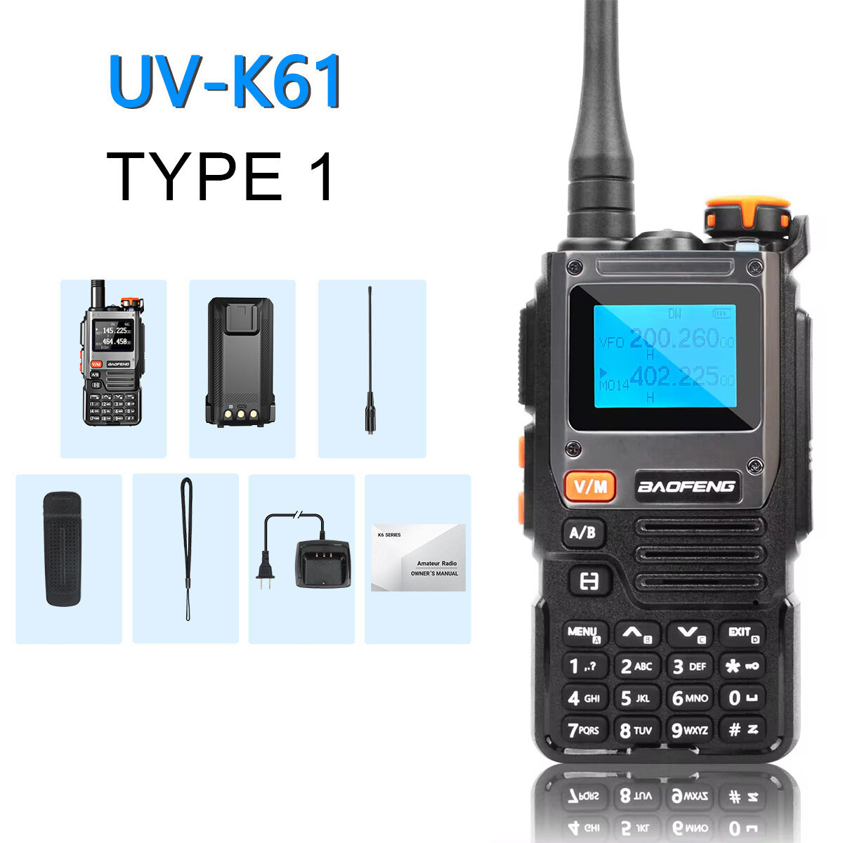 Type 1