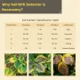 MoesHouse Soil NPK Temperature Detector Sensor Nitrogen Phosphorus Potassium Detector Nutrient Fertility Meter Tester for Garden Farm Greenhouse