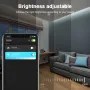 GLEDOPTO C-201P ZigBee3.0 Pro+ 5 in 1 LEDストリップコントローラー 最大20A RGBCCT/RGBW/RGB/CCT/調光機能搭載 Tuya Smart Lifeアプリ Alexa搭載 音声コントロール
