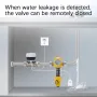 eWelink APP WiFi Smart Valve Water Gas Shutoff Automated Ball Valve DN15/DN20/DN25 Wireless Control for Alexa GoogleAlice