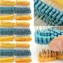 Metal Film Resistor Kit 130 Values 1R to 2.2M Ohm 2W 1% Tolerance 650PCS Electronic Component Assortment for Precision Circuits