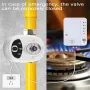 eWelink APP WiFi Smart Valve Water Gas Shutoff Automated Ball Valve DN15/DN20/DN25 Wireless Control for Alexa GoogleAlice