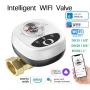 eWelink APP WiFi Smart Valve Water Gas Shutoff Automated Ball Valve DN15/DN20/DN25 Wireless Control for Alexa GoogleAlice