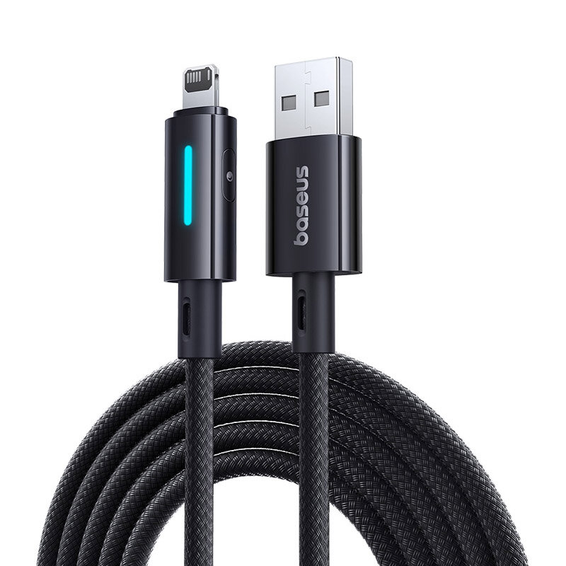 USB-A to iP