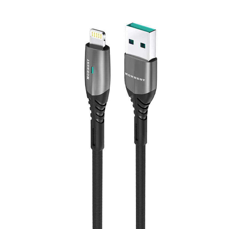 USB-A to iP