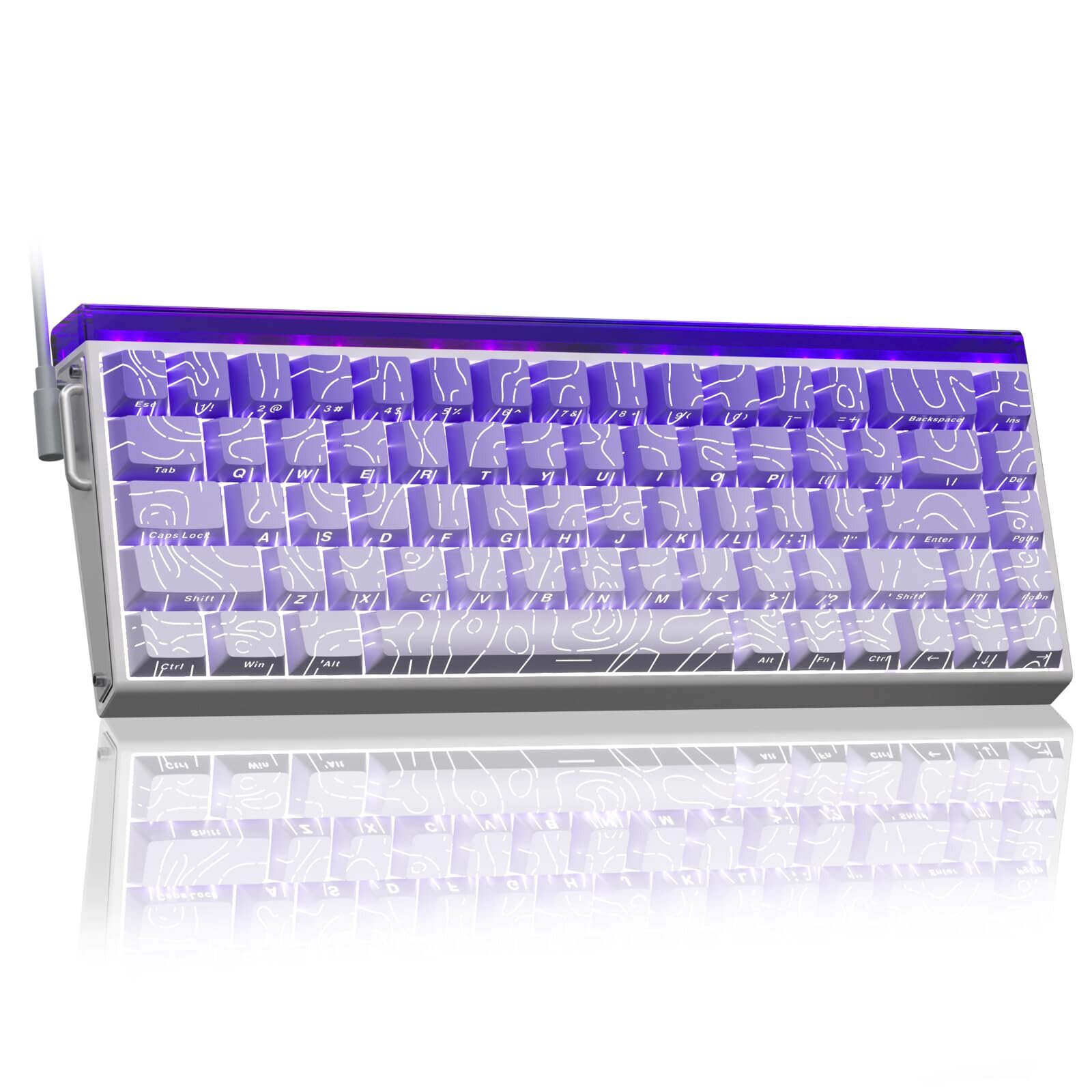 Purple/White Contour Lines