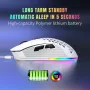 HXSJ T28 Hollow Wireless Mouse Rechargeable RGB Luminous 4800DPI Interchangeable Back Cover Gaming Lightweight Mouse
