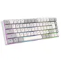 Y-FRUITFUL K701 68 Keys Mechanical Keyboard Type-C Wired RGB Backlit Double Injection Keycaps Multimedia Shortcutts Gaming Office Portable Gamer Keyboards