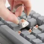 30/60 Pcs Holy Panda Switch Mechanical Keyboard Tactile Switch 3 Pin 55g POM Axis Custom Keyboard Switches Hot Plug DIY GK61 TK75