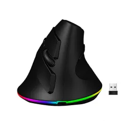 HXSJ T25 デュアルモード ワイヤレス ゲーミングマウス RGB 800/1600/2400DPI 調整可能 Bluetooth ゲーマーマウス ノートパソコン デスクトップ用