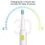 BORUI IPX7 3 Mode Battery Operated Electric Toothbrush with 3 Brush Heads Oral Hygiene Health Products