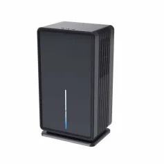 3L Gwo Kapasite Dehumidifier ak Air Purifier 2 nan 1 Pwofesyonèl Imidite Absòbe Air Sèk pou Kay