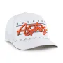 HOUSTON ASTROS CONDOR BVHATS 47 HITCH