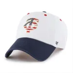 MINNESOTA TWINS PATRIOTIC FLAG FILL BVHATS 47 CLEAN UP