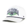 WASHINGTON NATIONALS CITY CONNECT POMONA ROPE BVHATS 47 HITCH